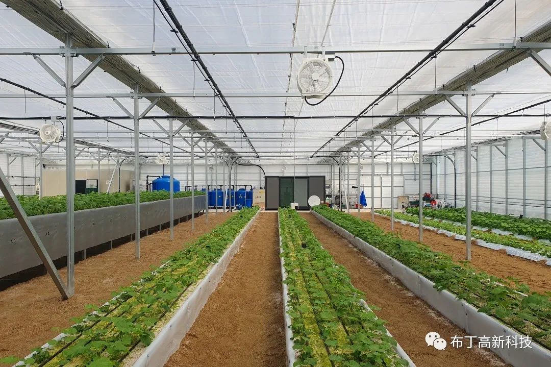 韓國(guó)首爾植物溫棚